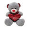 10.24in 26cm Herz Valentinsgruß-Tagesplüsch-Spielwaren-weißes Teddy Bear Holdings A Hypoallergenic