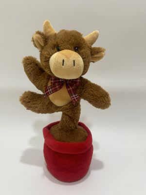 Singende und tanzende Highland Kuh